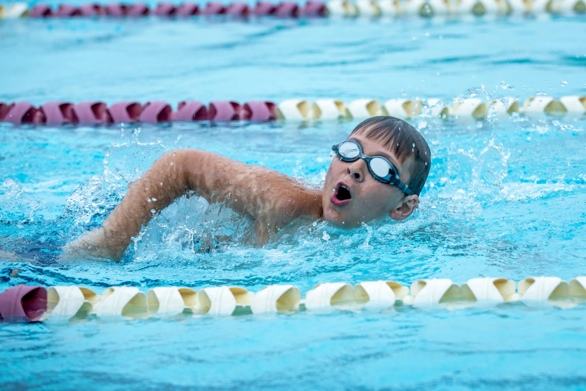 Swimmer racing through the pool during a club competition