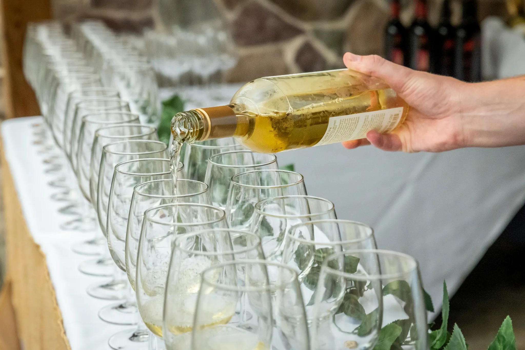 Wine being poured into a row of glasses