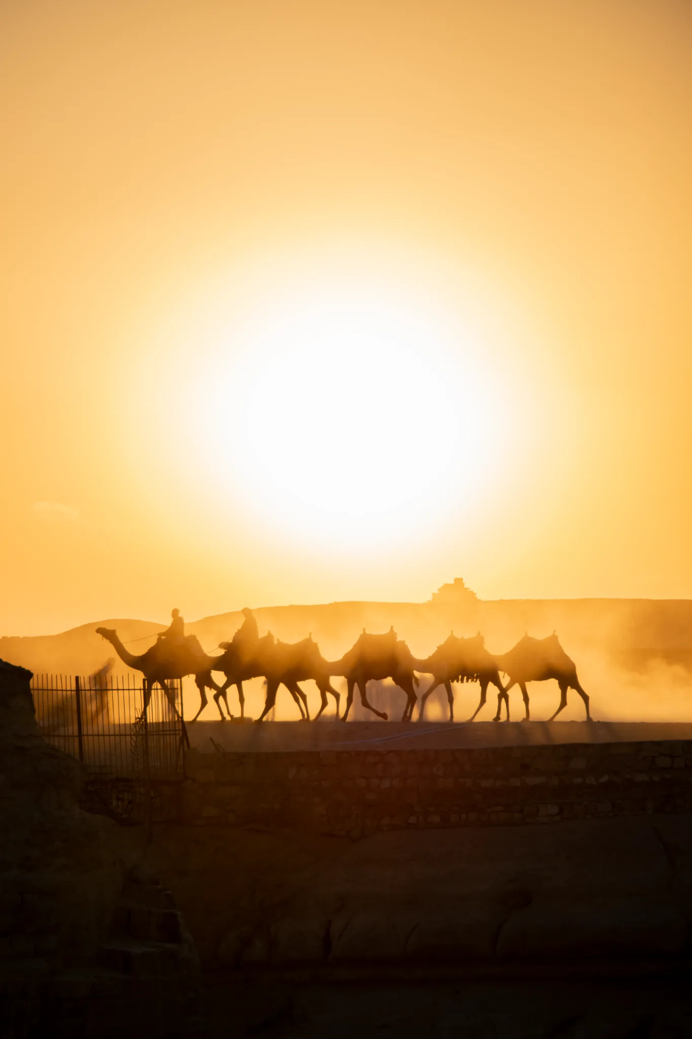 Camel caravan silhouetted against a bright desert sun