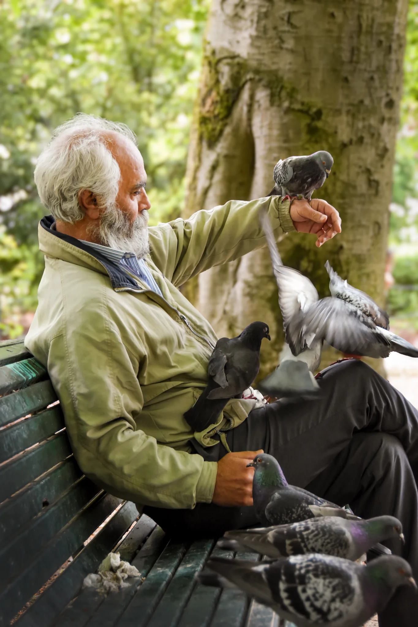 Man feeding pigeons in a city park
